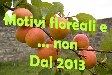 Motivi floreali